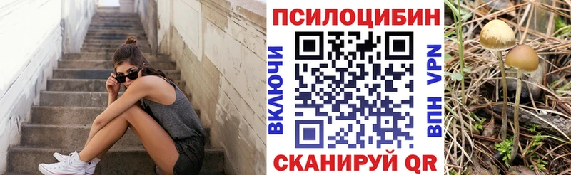 Псилоцибиновые грибы GOLDEN TEACHER  Новопавловск 