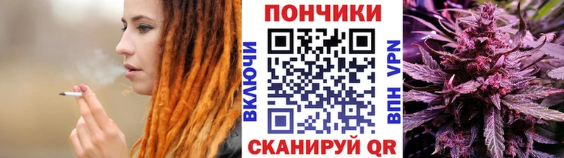 Бошки Шишки план  сайты даркнета какой сайт  blacksprut ТОР  Новопавловск  купить  сайты 